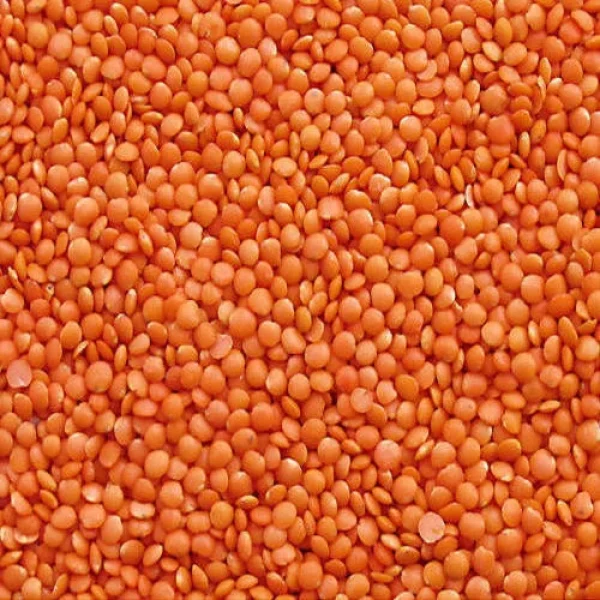 Regular (Mota) Moshur Dal